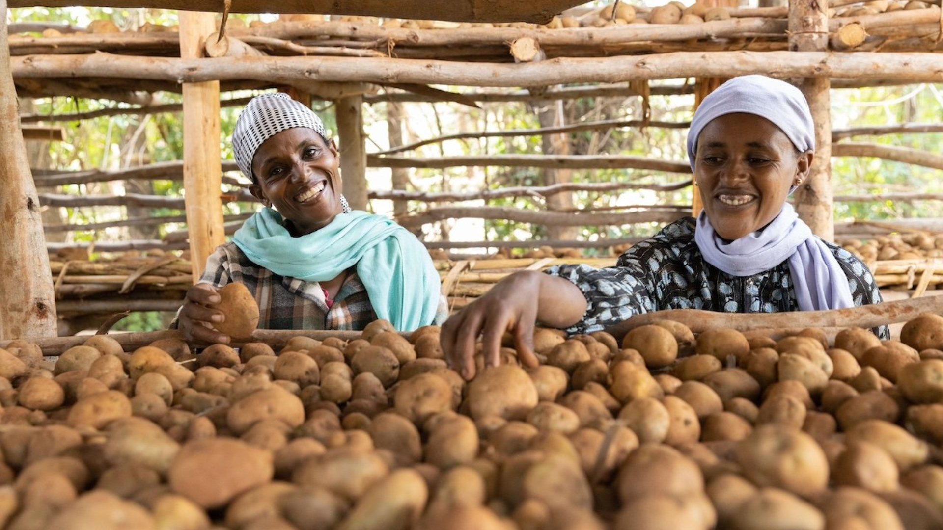 With A Fury, Women Are Cultivating Confidence in Ethiopia